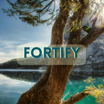 Fortify at Spirit of Joy Chuch - logo